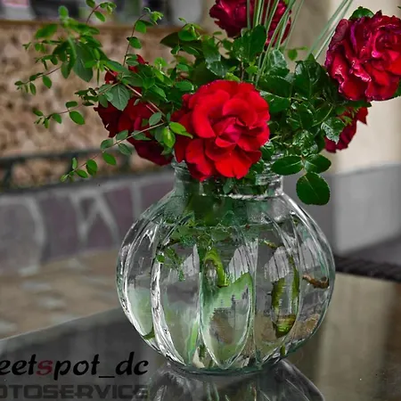 Blumenhof 3*