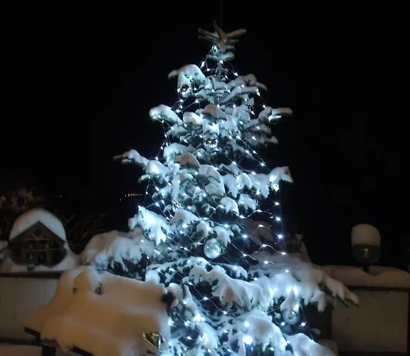 Blumenhof فندق سانكت جورجين ام اترغاو